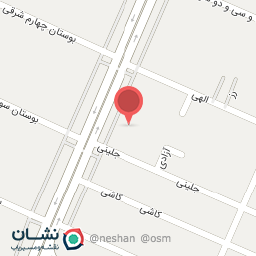 عکس فست فود خانم گل