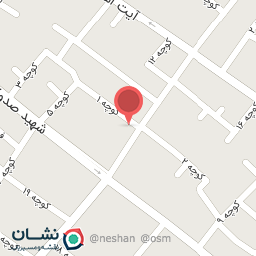 عکس دوربین و دزدگیر گذرگاه امن