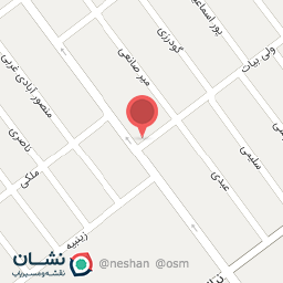 عکس تهیه غذا برادران