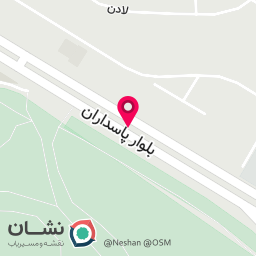 عکس فست فود تپش