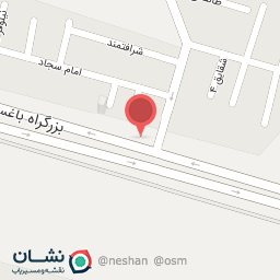 عکس اگزوز سازی علی