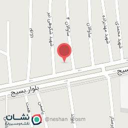 عکس میوه فروشی نیر