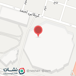عکس کباب ناب بناب میرزا بابایی پونک