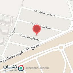 عکس هیئت جانثاران امام حسن مجتبی (ع)