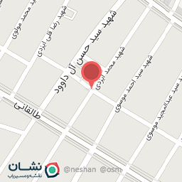 عکس برق خودرو مهندس عزیز