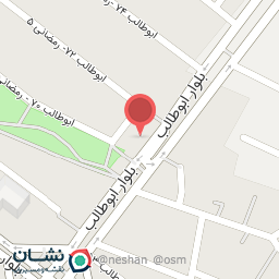 عکس گوشت و مرغ پیروزی