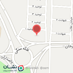 عکس فست فود فلاویچ