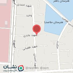 عکس دکتر علیرضا سلیمیان ریزی