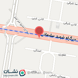 عکس دکتر نگین معین