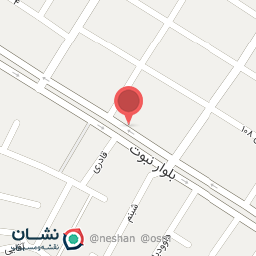 عکس الیکتریکی بزرگی