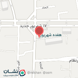 عکس غذای خانگی ریحون 