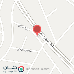 عکس صوتی تصویری و تزئینات اتومبیل نیما