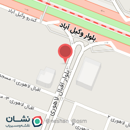 عکس پیتزا لون