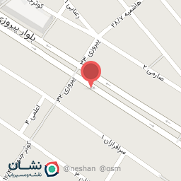 عکس دکتر سیده زهره شمس