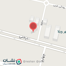 عکس پیتزا ریونیز