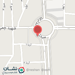 عکس پیتزا و ساندویچ پاشا