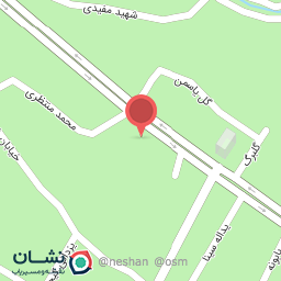 عکس فروشگاه گوشت روحانی