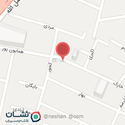 عکس پیتزا برگر نمونه