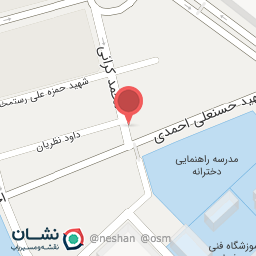 عکس امیر برگر