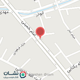 عکس کیف و کفش پانیک