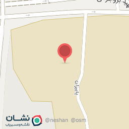 عکس آریانا ولو تک