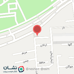 عکس پوشاک شاین