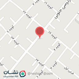 عکس مش دونالد 