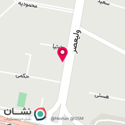 عکس رامیراد برگر