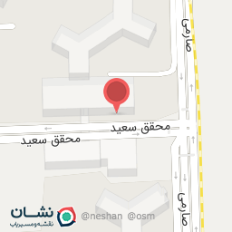 عکس پیتزا پیزارو شعبه اکباتان