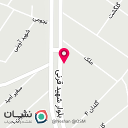 عکس میوه و تره بار کریم و پژمان