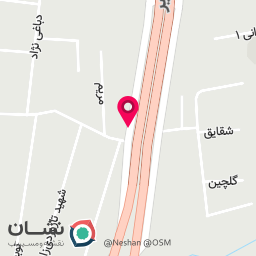 عکس فست فود گونش