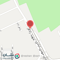 عکس دکتر راضیه نعیمی