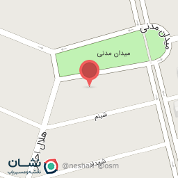 عکس پیتزا لیمو