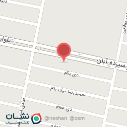 عکس پیتزا جوان