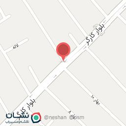 عکس ساندویچ شامک