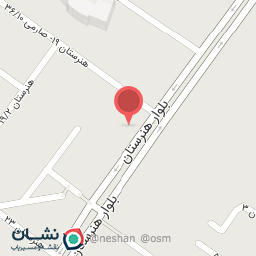 عکس فست فود سالسا