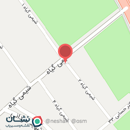 عکس فروشگاه زنجیره ای سورنا