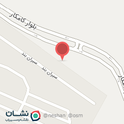 عکس برق خوردو و تنظیم موتوری برادران همدانی 