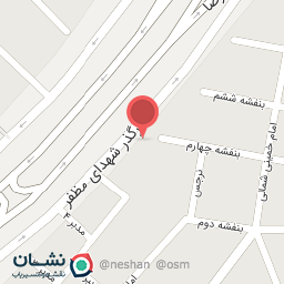 عکس الکتریکی امیر