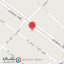 عکس خودپرداز