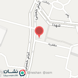 عکس الکتریکی حسنی