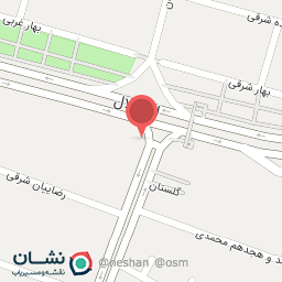 عکس برق خودرو سعید