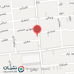 عکس پیتزا دادلی