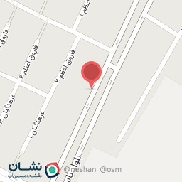 عکس قصابی ریگی