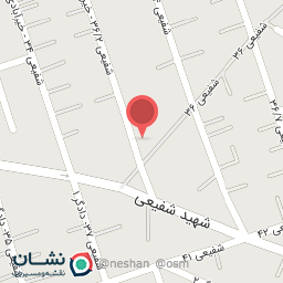 عکس کفش پاراز