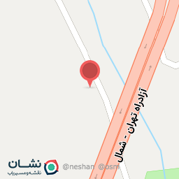 عکس پیتزا مرغابی