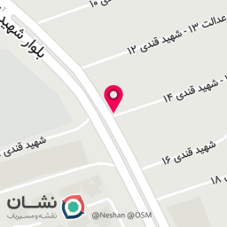 عکس پیتزا ساویس پلاس