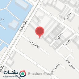 عکس تیم نرم افزاری جوان
