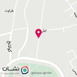 عکس دکتر حامد عظیمی 