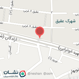 عکس غذای علیسان 